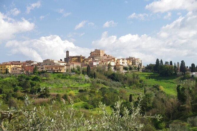 Private Guided Tour to Pisa and local Wine Farm from Livorno port - Castello dei Vicari and the homemade pasta stop