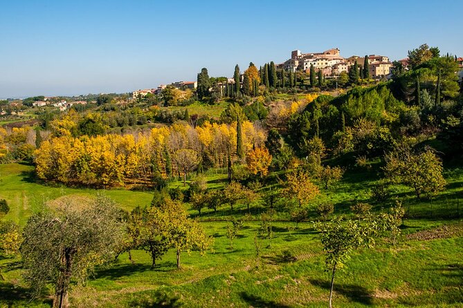 Private Guided Tour to Pisa and local Wine Farm from Livorno port - Port timing and practical planning