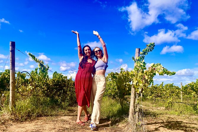 Private Lisbon-Arrábida Wine Tour: 3 Wineries, Coast & Heritage - Crossing Arrábida for mountain and sea views