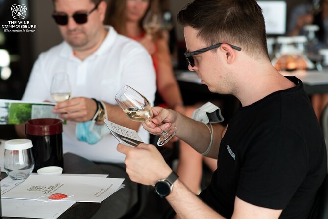 Private Luxury wine tour in Ancient Nemea and vineyards. - Two or Three Wineries, With Real Variety