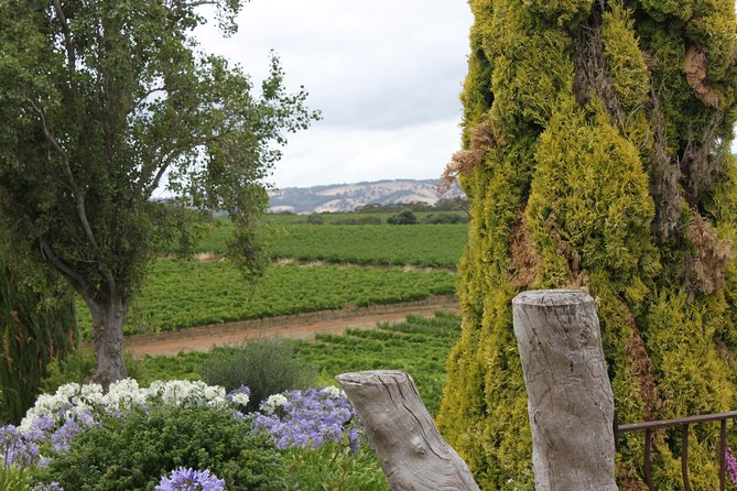 Private McLaren Vale Wine Region Tour from Adelaide - Riding in the BMW 5 Series
