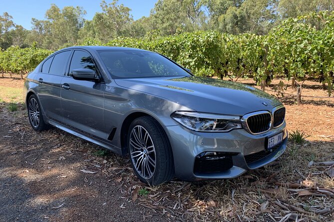 Private McLaren Vale Wine Region Tour from Adelaide - Who will enjoy the flexible format
