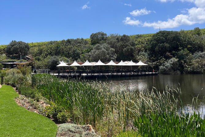 Private/Personalized Full Day Wine Tasting Tour Cape Winelands - Why This Private Cape Winelands Tour Feels Different