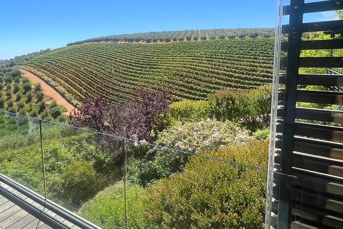 Private/Personalized Full Day Wine Tasting Tour Cape Winelands - Wine Tasting for Curious Beginners and Serious Drinkers
