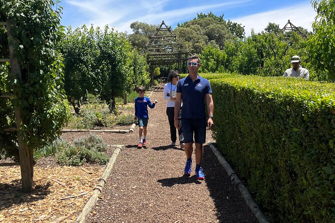 Private/Personalized Full Day Wine Tasting Tour Cape Winelands - Three Estates, Three Different Styles
