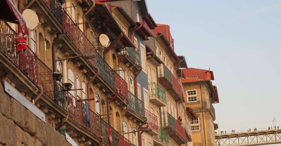 Private Porto Half-Day Tour - Wine Cellars & Cheese Tasting - Who should book this Porto tour?