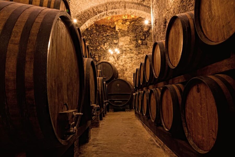 Private Porto Half-Day Tour - Wine Cellars & Cheese Tasting - Why a private guide changes the experience
