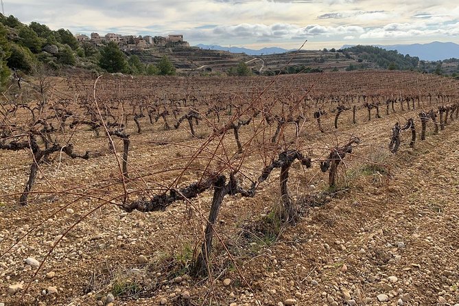 Private Priorat Tour with Wine Tastings & Lunch from Barcelona - The guides make the long day work