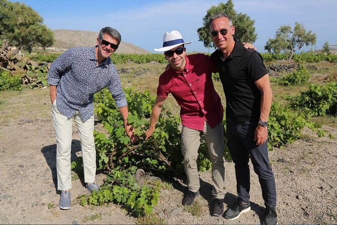 Private Santorini Sunset Wine Tour with Tastings and Tapas - Pickup, timing, and the few details that need planning