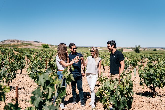 Private Segovia & Ribera del Duero with Wine Tasting from Madrid - Key points to know before booking