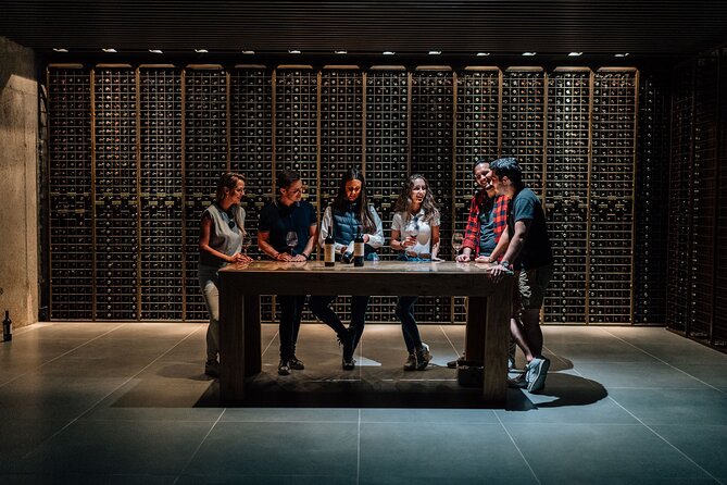 Private Segovia & Ribera del Duero with Wine Tasting from Madrid - A wine country detour before Segovia