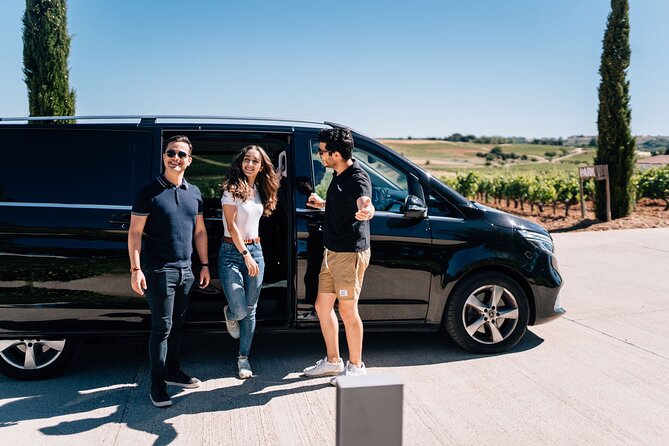 Private Segovia & Ribera del Duero with Wine Tasting from Madrid - The private vehicle makes or breaks the day
