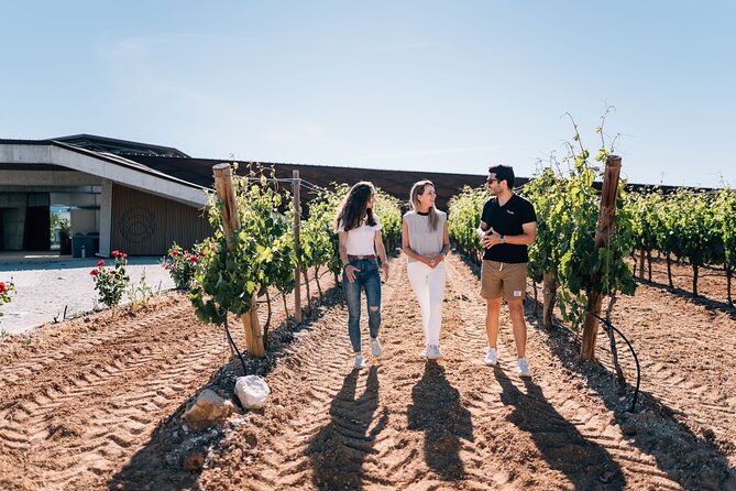 Private Segovia & Ribera del Duero with Wine Tasting from Madrid - Is $1,021.92 per person fair?