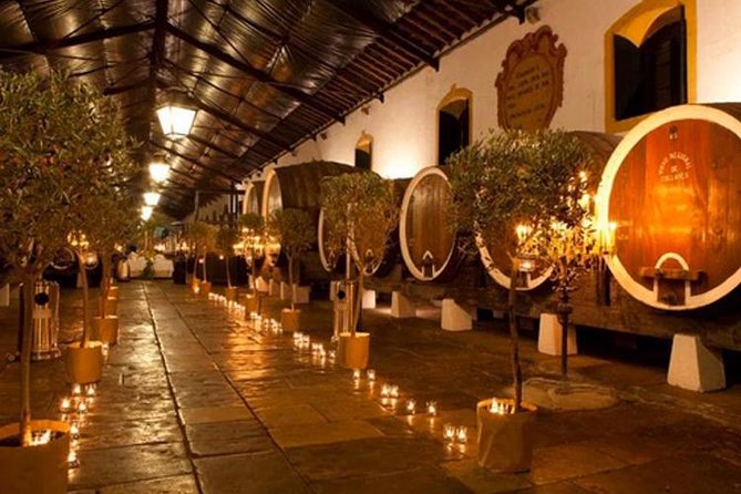 Private Sintra Tour from Lisbon with Cellar Visit and Wine Tasting - Pena Palace and the ticket issue that matters most