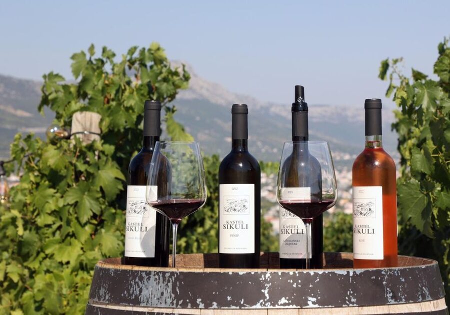 Private Split & Trogir Wine Tasting & Vineyard with Sea View - Why the private format matters