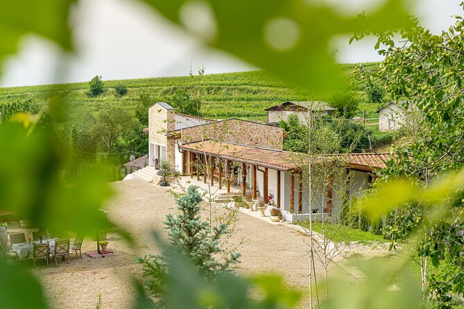 Private Tasting Expedition Along Romania’s Most Famous Wine Route - What the guide adds beyond the glass