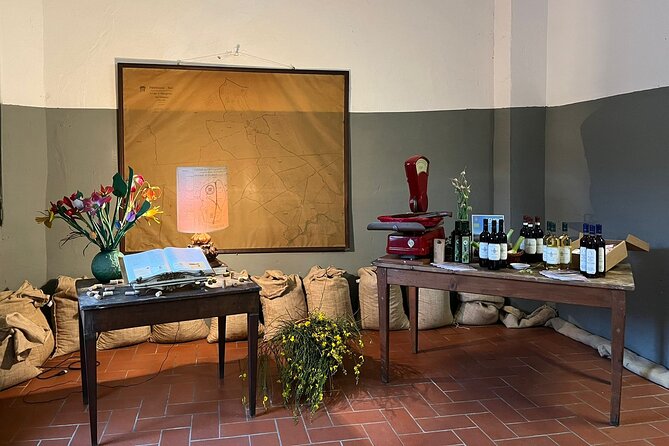 Private tasting of organic wines in the cellar in Arezzo - A farm story told through four working cellars