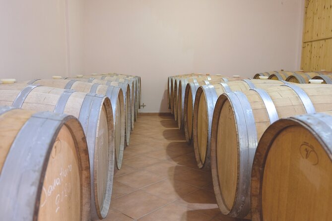 Private Tour and Tasting at Zeginis Winery - Meeting the Winery’s Enologist