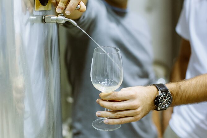 Private Tour at a Family Winery and Basque Coast Route - Getaria, where wine, fish, and seafaring meet