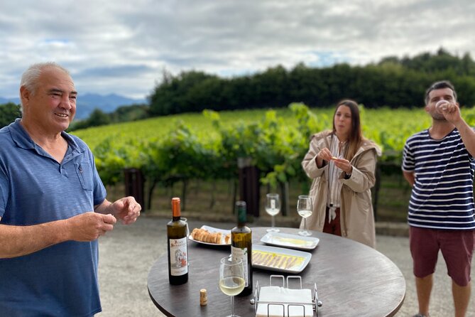 Private Tour at a Family Winery and Basque Coast Route - Who should book this Basque Coast tour?