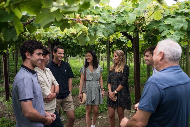 Private Tour at a Family Winery and Basque Coast Route - Inside a family txakoli winery