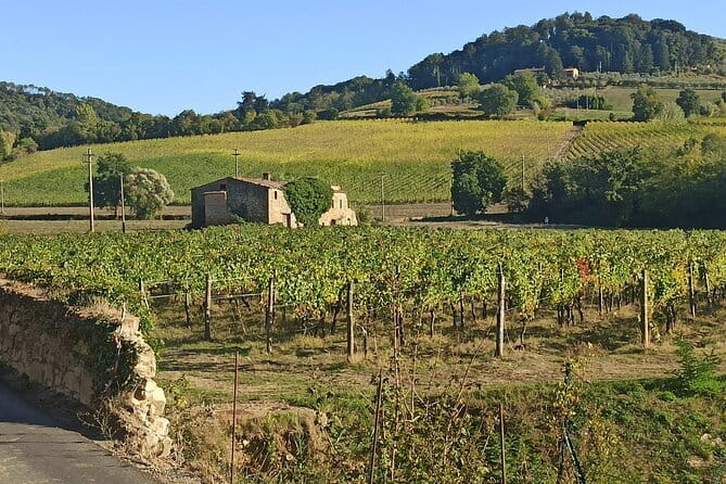 PRIVATE TOUR: Chianti Afternoon tour with visit to 2 wine farms - Key points at a glance