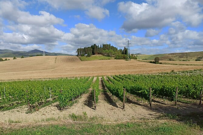 PRIVATE TOUR: Chianti Afternoon tour with visit to 2 wine farms - Leaving Florence for the Via Chiantigiana
