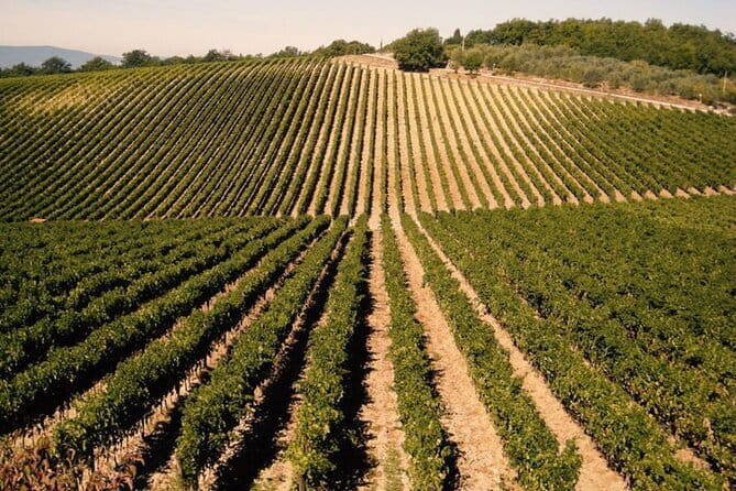 Private Tour: Chianti Winery, Montefioralle, and Greve in Chianti - Leaving Florence for the Chianti hills