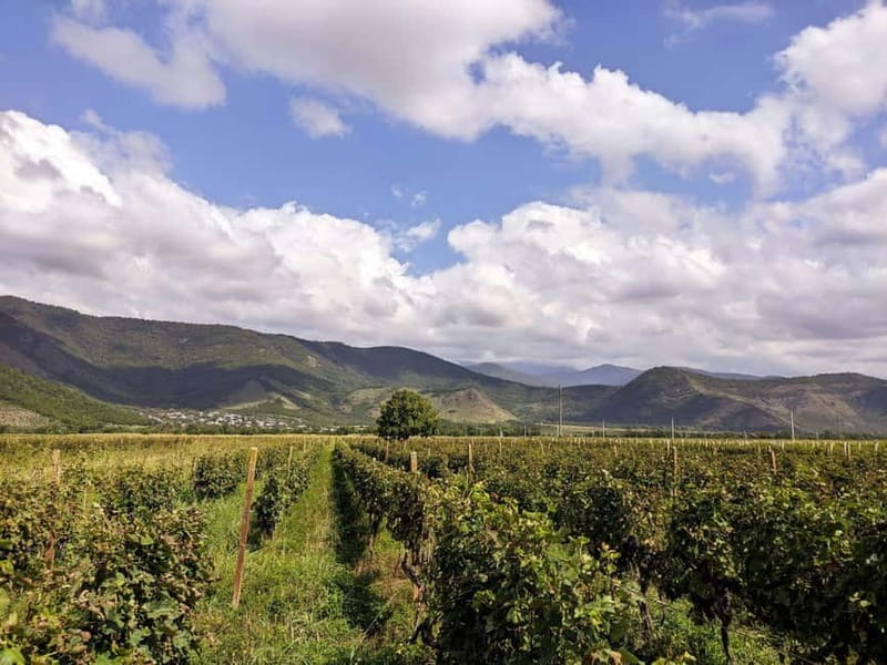 Private tour from KUTAISI: Tskhrajvari, Racha and Winery - Khvanchkara wine tasting finishes the day