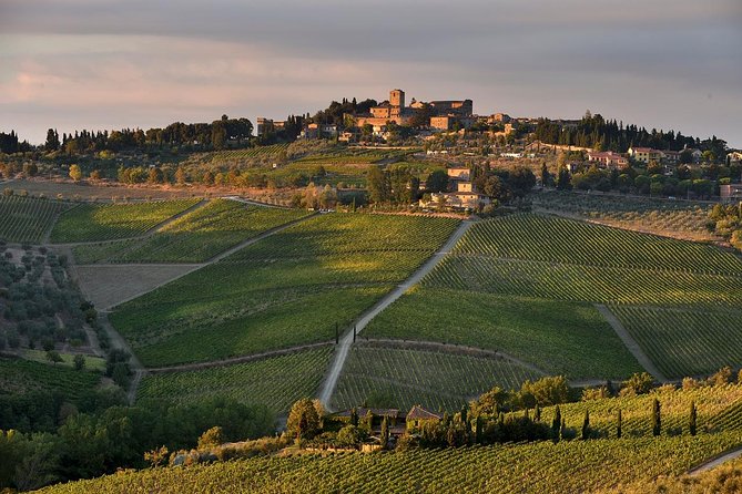 Private tour from Livorno port to Chianti Wine Region - Key points to know before booking