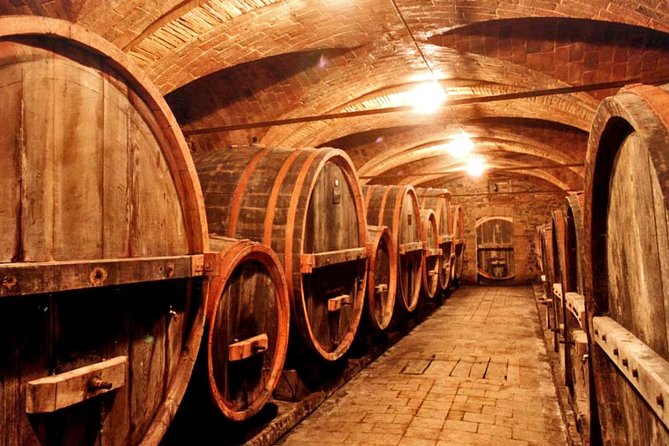 Private tour from Livorno port to Chianti Wine Region - Choosing lunch or a wine tasting
