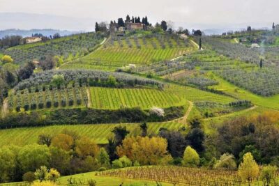 Private tour from Livorno port to Chianti Wine Region