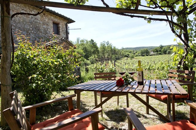 Private tour from Livorno port to Chianti Wine Region - Cruise timing and flexibility