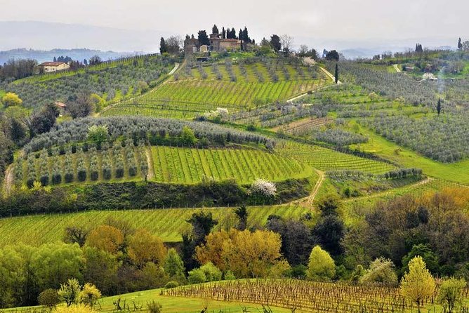 Private tour from Livorno port to Chianti Wine Region - San Gimignano and its stone towers