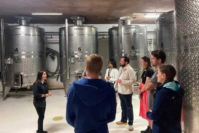 Private Tour in Guadalupe Valley, Vine Yards & Wine Route ENS MX - Why a private day works well in Valle de Guadalupe