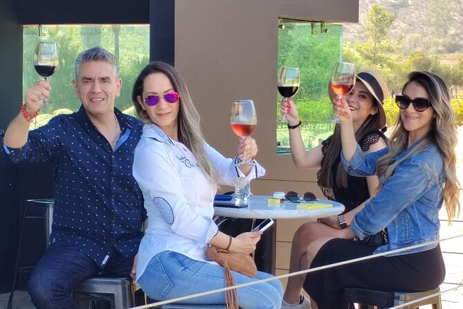 Private Tour in Guadalupe Valley, Vine Yards & Wine Route ENS MX - Who will get the most from this tour
