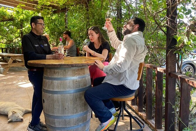 Private Tour in Guadalupe Valley, Vine Yards & Wine Route ENS MX - What you see at the 3 to 4 winery stops
