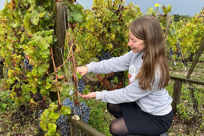 Private tour in the prestigious Médoc wine region - Château Lamothe-Bergeron: a second side of Médoc
