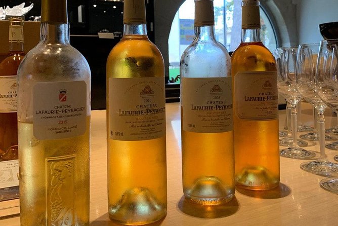 Private tour in the Sauternes wine region - discover Bordeaux sweet Crus Classés - A private ride with guide Alaïs