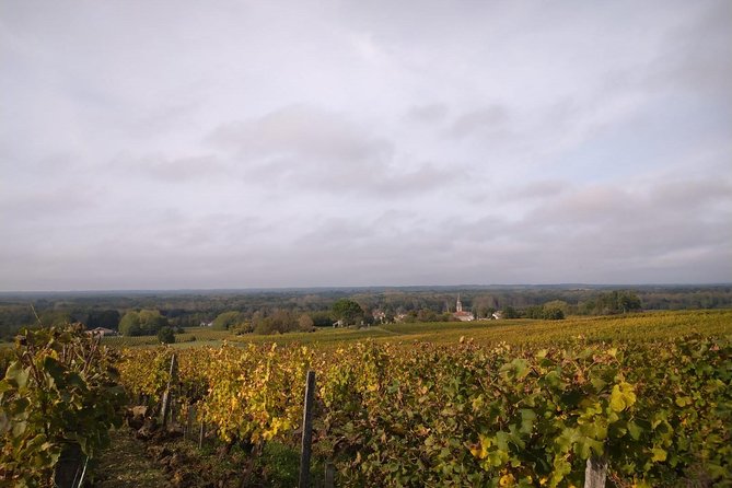 Private tour in the Sauternes wine region - discover Bordeaux sweet Crus Classés - Is $221.25 per person good value?