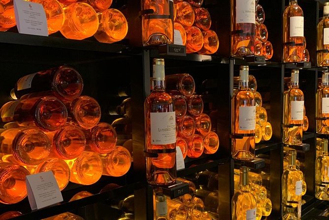 Private tour in the Sauternes wine region - discover Bordeaux sweet Crus Classés - Château La Tour Blanche: a second point of comparison