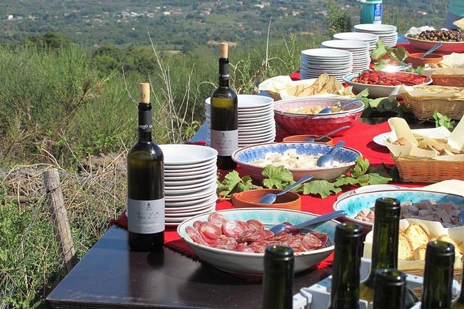 Private tour of Etna and Winery Visit with Food and Wine Tasting from Taormina - From Taormina to the upper slopes of Etna