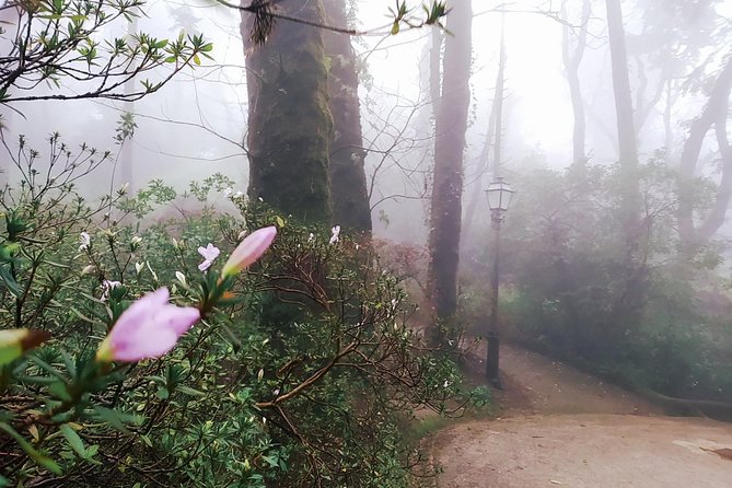 Private tour of Pena palace and Quinta da Regaleira - Entering the colorful Park and National Palace of Pena