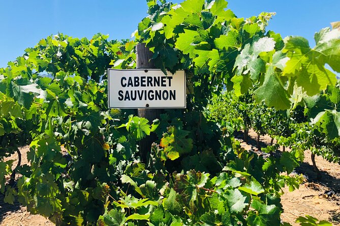 Private Tour of Top 5 Stellenbosch Wineries From Cape Town - What this private wine day actually feels like