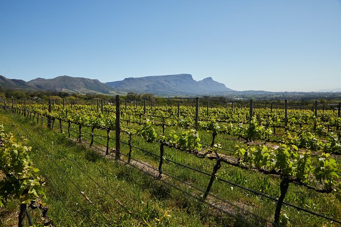 Private Tour of Top 5 Stellenbosch Wineries From Cape Town - Delaire Graff on Helshoogte Mountain Pass