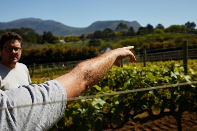 Private Tour of Top 5 Stellenbosch Wineries From Cape Town - Price, tasting fees, and the real value