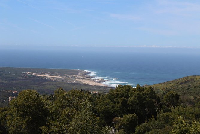 Private Tour Sintra Roca Cascais Palace Pena and Quinta Regaleira - What the private format is really worth