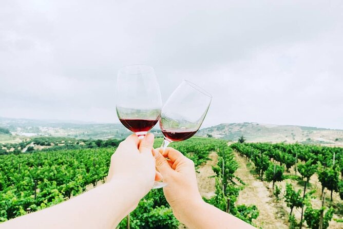 Private Tour: Soap, Olive Oil & Lyrarakis Winery with Lunch - A private tour, with practical benefits