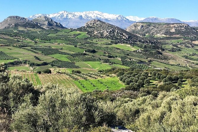 Private Tour: Soap, Olive Oil & Lyrarakis Winery with Lunch - Who will enjoy this most?
