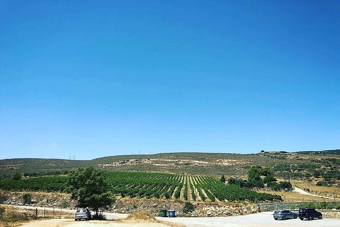 Private Tour: Soap, Olive Oil & Lyrarakis Winery with Lunch - Timing, cancellation, and small planning tips